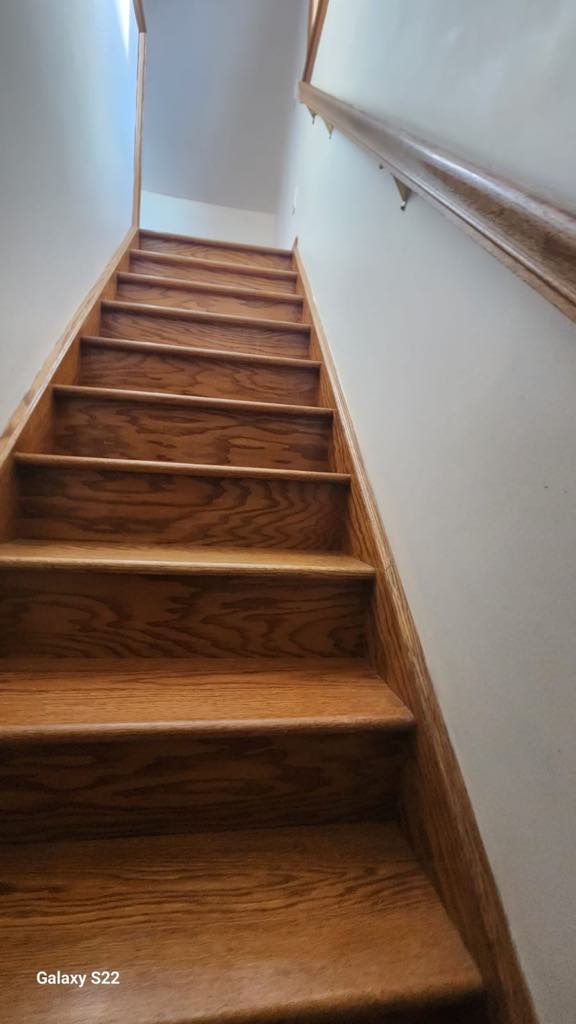 9b6970fc-0ee9-47b9-91e0-6a013040482a